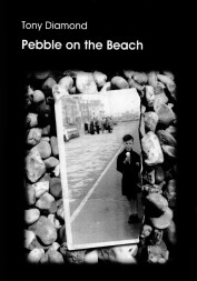 Pebble on the Beach QueenSpark books